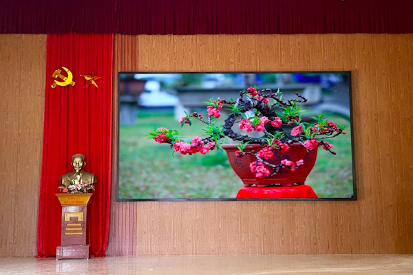 Man hinh LED cho hoi truong hoi nghi